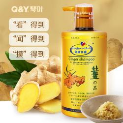 琴叶生姜防脱发强根保养洗发水 育发控油滋养 1L