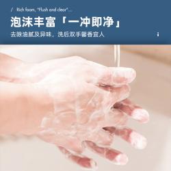 Evershine 晴天大白抑菌洗手液 泡沫型清洁儿童宝宝全家用 350ml