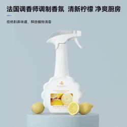 Evershine 晴天大白酵素多功能油污净 厨房油烟机灶台清洗剂500ml*3瓶（1个泵头）